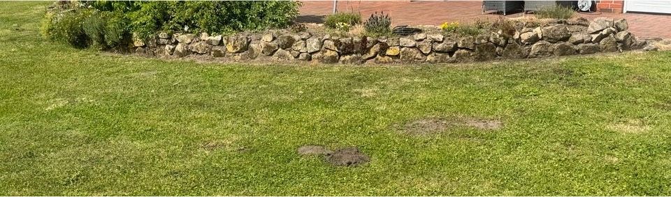 30m Sandsteinmauer x 40cm hoch + Feldsteine in Bersenbrück