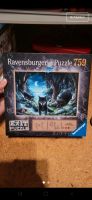 Ravensburger exit puzzle Baden-Württemberg - Riedlingen Vorschau