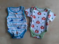 NEU! 2 Bodys Hans Natur Liegelind 50/56 Baby Apfel Bayern - Obergünzburg Vorschau