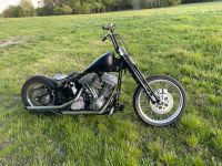 Harley Davidson FXST  Bj 1999 EVO Springer Vergaser Sachsen - Hoyerswerda Vorschau