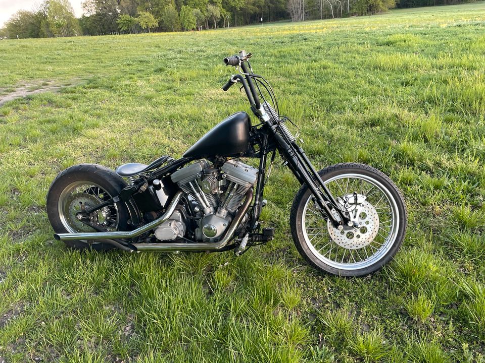 Harley Davidson FXST  Bj 1999 EVO Springer Vergaser in Hoyerswerda