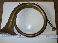 Horn, Größe 30cm Hessen - Rauschenberg Vorschau