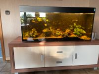 240 l Aquarium mit Unterschrank und Technik Nordrhein-Westfalen - Salzkotten Vorschau