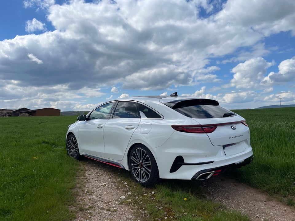 Kia ProCeed GT in Fensterbach