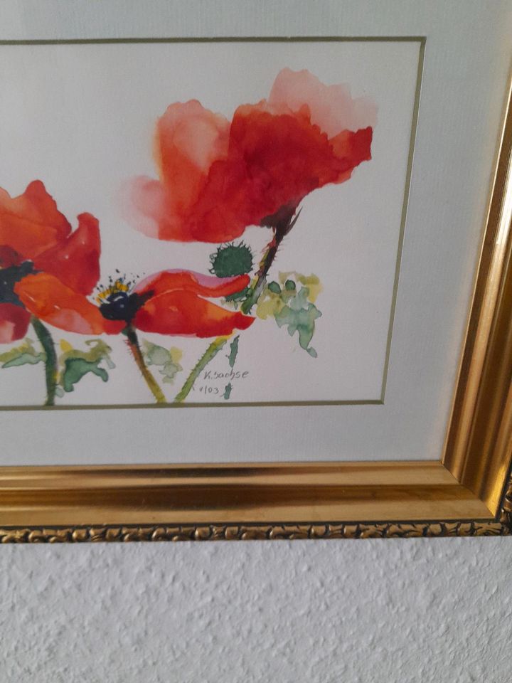 Aquarell in tollem Rahmen. Mohn in Flintbek