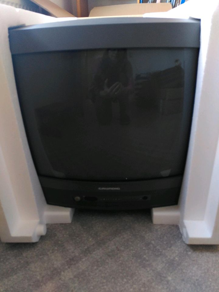 Fernseher Grundig in Eisingen