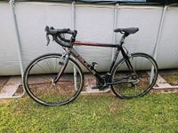 Rennrad Bulls RH54 Shimano Ultegra Nordrhein-Westfalen - Petershagen Vorschau