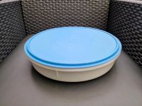 Tupperware Tupperdose 32,5 x 7cm Niedersachsen - Bülstedt Vorschau