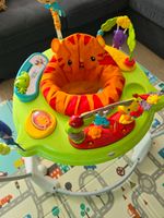 Fisher-Price Spielspaß Rainforest Jumperoo Brandenburg - Fürstenwalde (Spree) Vorschau