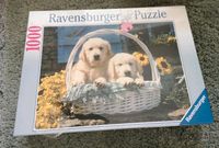 NEU | Ravensburger Puzzle 1000 - Welpenmotiv Essen - Bergerhausen Vorschau