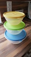 Tupperware Salatschüsseln gelb blau grün Bayern - Westerheim Vorschau