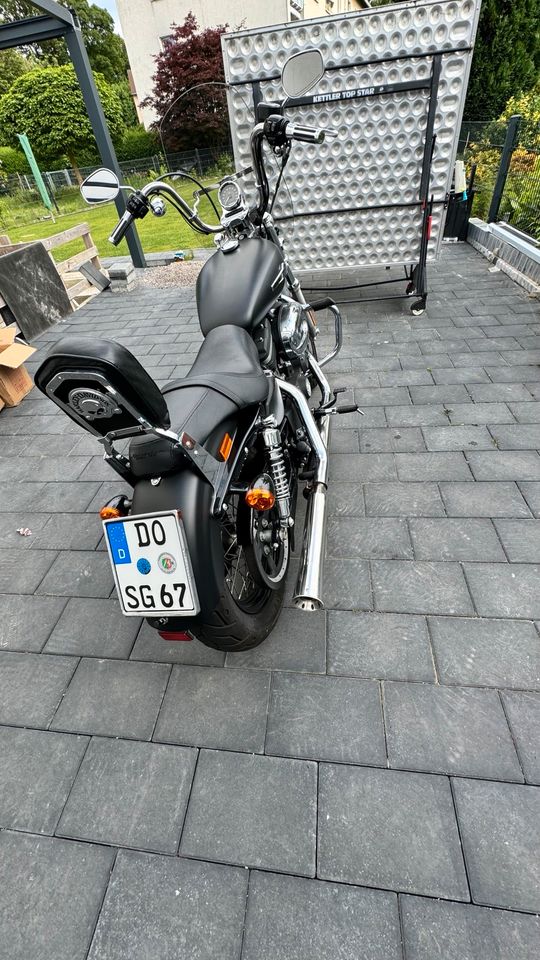 Harley DavidsonSporster  5 HD1200 xl in Dortmund