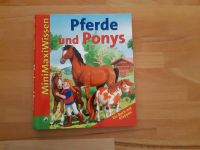 Buch MiniMaxiWissen Pferde und Ponys mit Klappen Niedersachsen - Sachsenhagen Vorschau