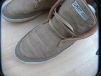Esprit Sneaker Schuhe beige braun Größe 37 Niedersachsen - Braunschweig Vorschau
