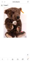 Original Steiff Teddybär, braun, 25cm, classic 1909 Hessen - Darmstadt Vorschau