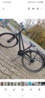 Damenfahrrad Nordrhein-Westfalen - Rietberg Vorschau