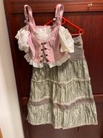Tracht von C&A Landhaus / Dirndl / Oktoberfest Niedersachsen - Nahrendorf Vorschau