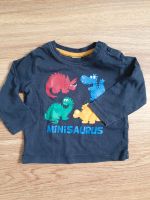 Langarmshirt Dinosaurier Baden-Württemberg - Mannheim Vorschau