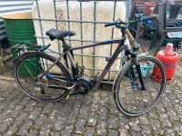 E-Bike haibike EQ Trekking Saarland - Völklingen Vorschau