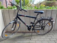 Pegasus Solero Alu 28'' / RH 53 cm / Herrenfahrrad  / Cityrad Kiel - Elmschenhagen-Nord Vorschau