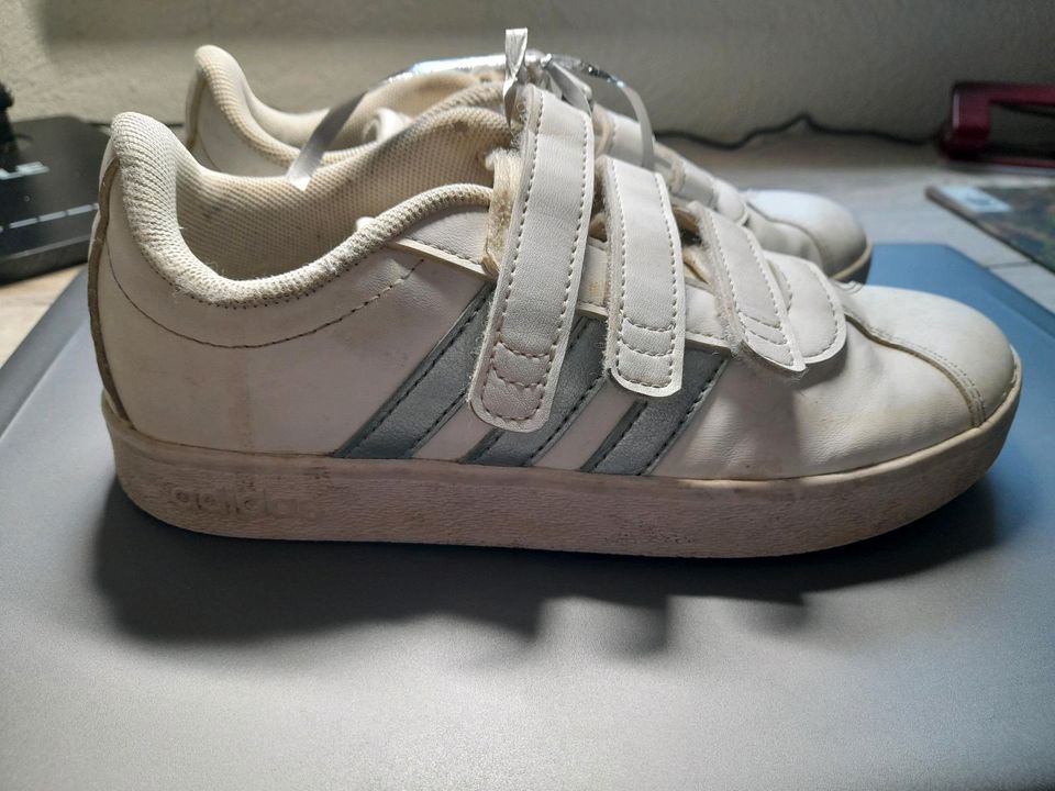 Adidas Schuhe in Münchberg