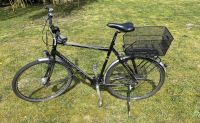 Stevens Elegant lite - Herren Trekking Fahrrad - 61cm Bremen - Borgfeld Vorschau