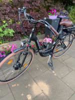 E -Bike in einem sehr guten neuen Zustand Wandsbek - Hamburg Tonndorf Vorschau