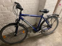 Fahrrad 28 Zoll Essen-Borbeck - Essen-Vogelheim Vorschau