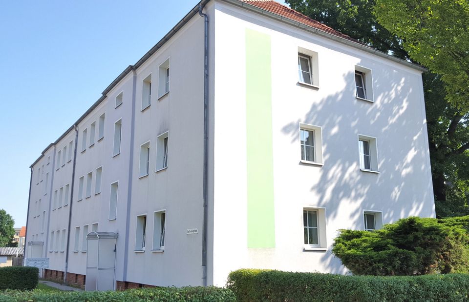 Erdgeschoss + Dusche! 3-R.-WE im schönen Altbau in Zittau! in Zittau