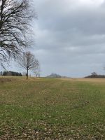 Acker Wald Wiese Grünland Hessen - Braunfels Vorschau