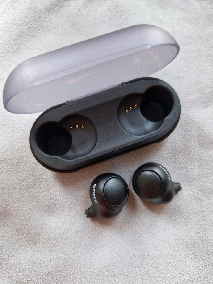 Sony WF-C500 Earbuds / Kopfhörer in OVP in Karben