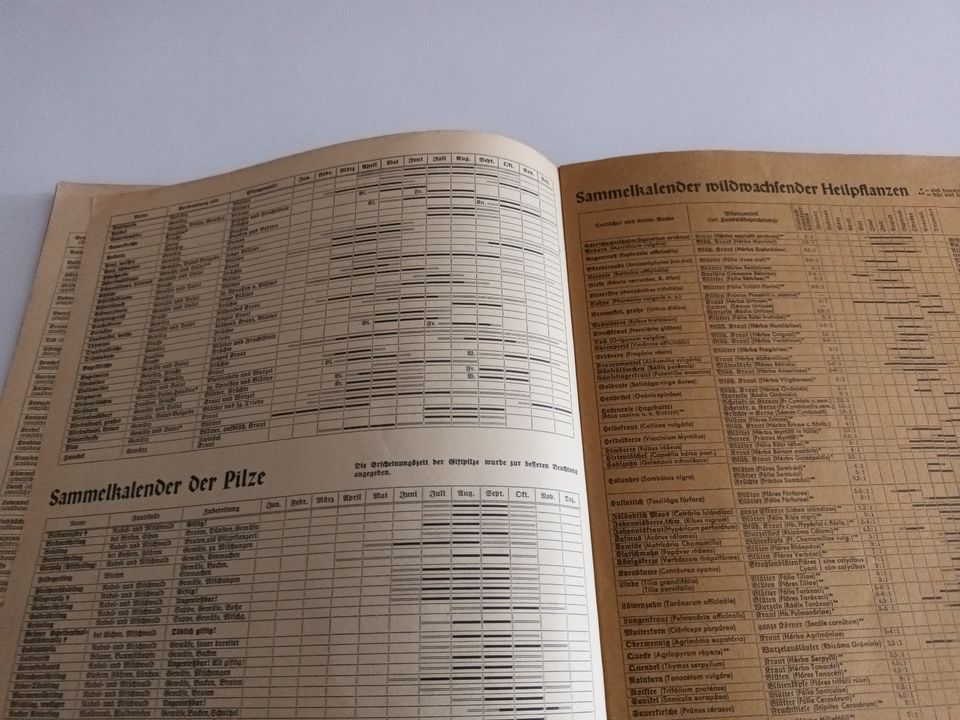 Heft - Pflanzen-Atlas 1 von 1940 (gebrauchter Zustand) in Birkenfeld