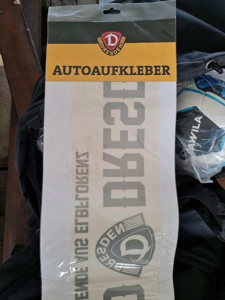 Autoaufkleber Scheibenaufkleber Dynamo Dresden in Laußnitz