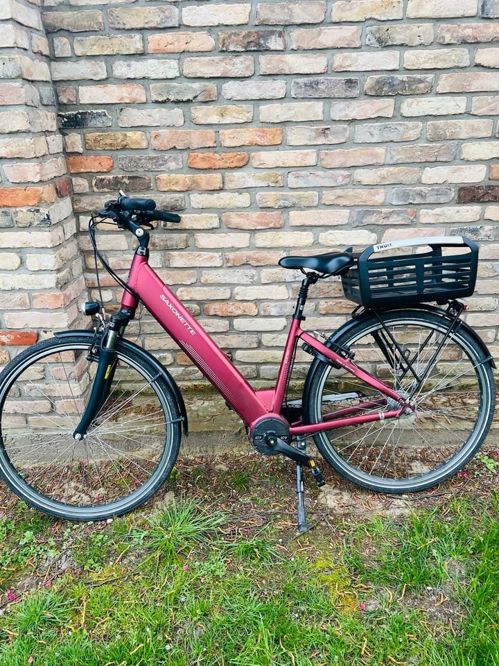 E-Bike Saxonette Selection - Akku wurde vor einem Jahre erneuert in Potsdam