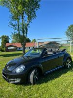 VW Beetle Cabrio Exklusive Niedersachsen - Semmenstedt Vorschau