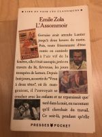 Roman L‘Assommoir von Emile Zola Bayern - Gauting Vorschau