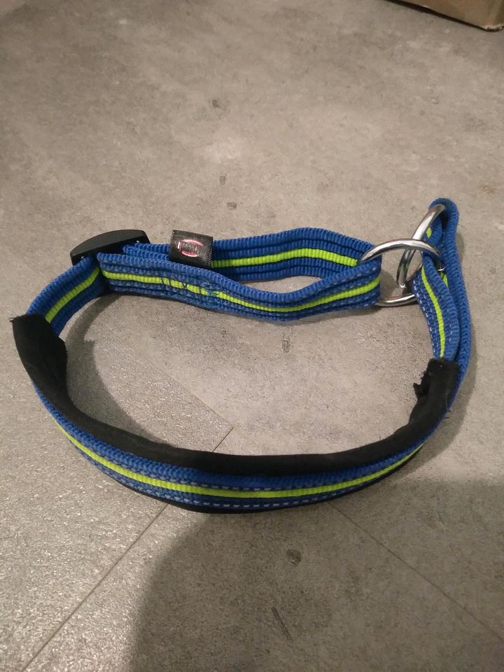 Hunde Halsband Anti-Zug blau-gelb reflektierend in Udestedt