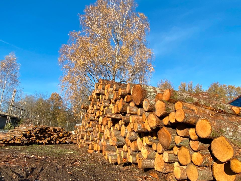 Brennholz BIRKE, Feuerholz, Kaminholz - Bröckel in Bröckel