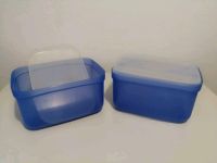 TUPPERWARE, 2 Behälter, 22 L, blau Rheinland-Pfalz - Ludwigshafen Vorschau