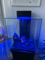 Fluval Edge Aquarium 46 Liter Eimsbüttel - Hamburg Niendorf Vorschau