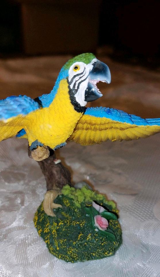 Wunderschöner blauer Papagei Ara im Flug in Pfarrkirchen