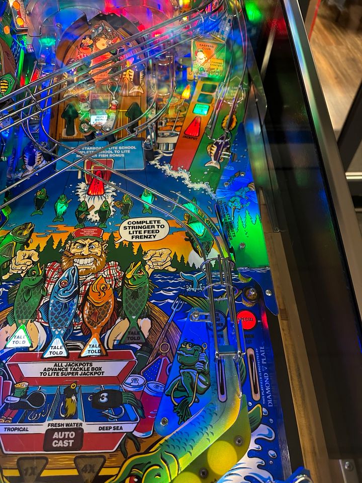 Flipper - Pinball Williams Fish Tales in Gronau (Westfalen)