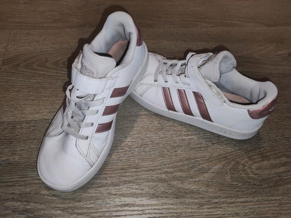 Adidas Schuhe Gr. 33 in Magdeburg