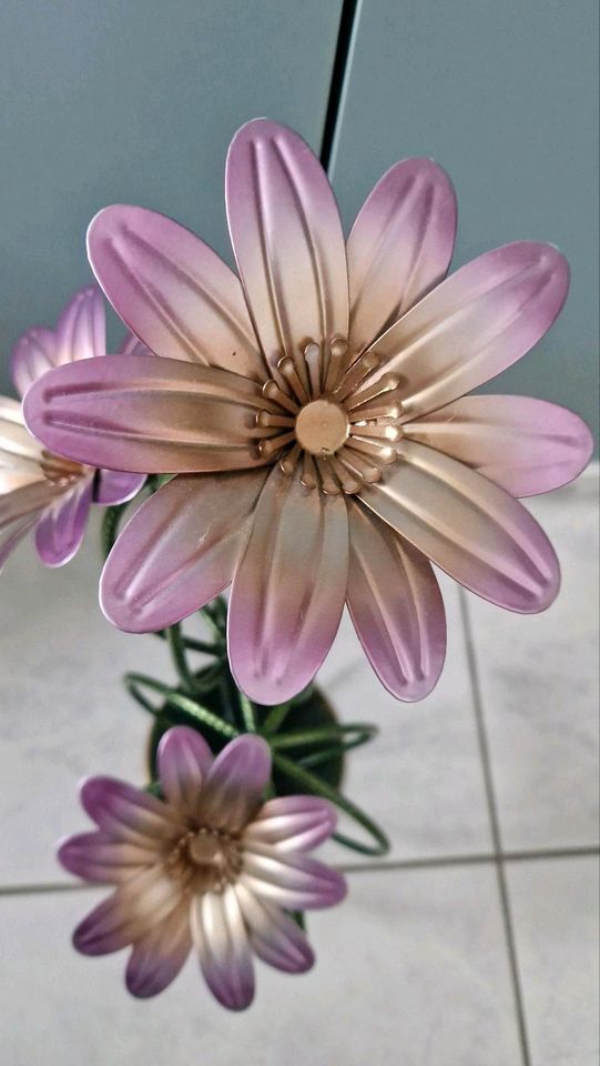 Dehner Metall Deko Kaktus Blumen Grün Rosa Garten in Horb am Neckar