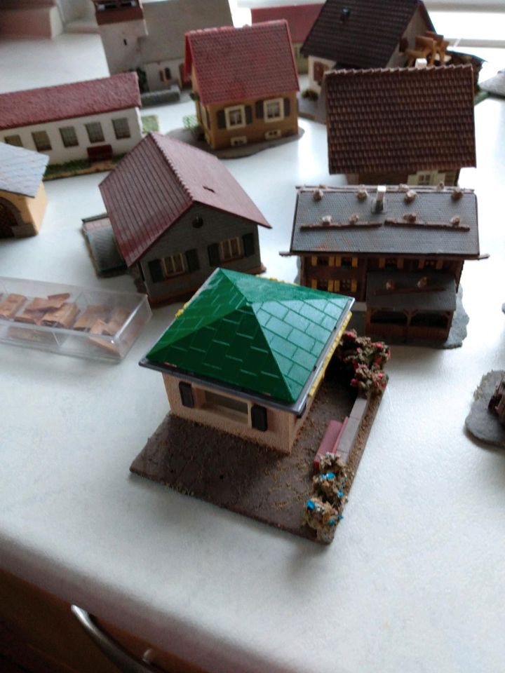 Eisenbahn, Modellbau,Häuser in Winterlingen