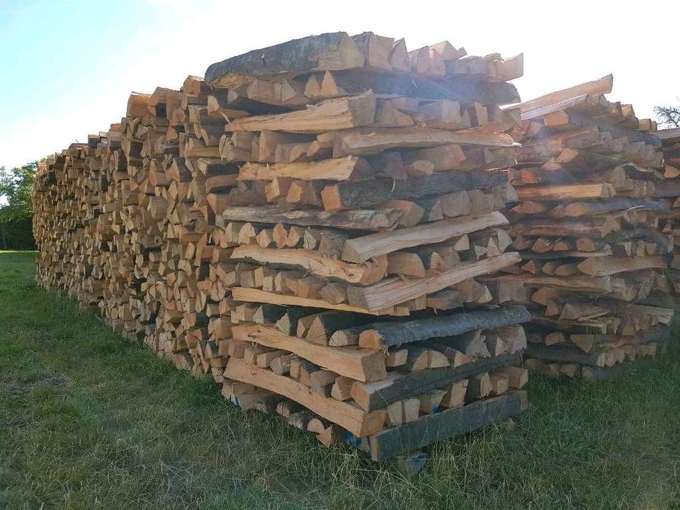 Trockenes Brennholz zu verkaufen, Buche/Eiche in Raummetern in Wabern