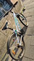 Verkaufe gebrauchtes Fahrrad in Größe 26 München - Berg-am-Laim Vorschau
