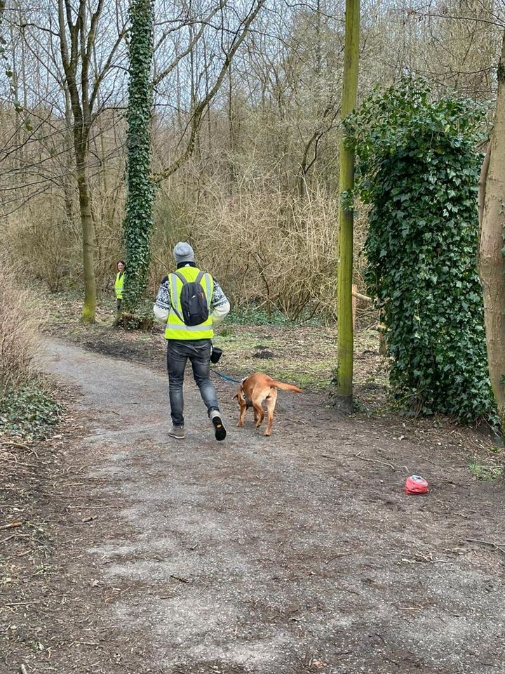 Hundetrainer-in/mobile Hundeschule, Mantrailing im Wendland in Lüchow