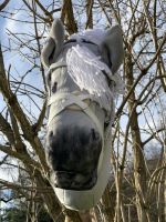 Hobby Horse mit eingenähten Nüstern Baden-Württemberg - Wiernsheim Vorschau