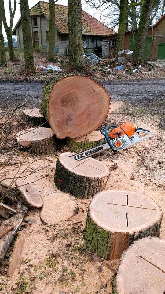 Kaminholz zu verkaufen in Neuenkirchen - Merzen